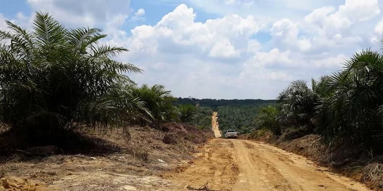 Taman Nasional Tesso Nilo, tata kelola hutan, banjir dan tanah longsor, Raja Juli Antoni, menteri kehutanan, banjir dan tanah longsor di Sumatera, Menhut: Banjir dan Longsor di Sumatera Jadi Momentum Perbaiki Tata Kelola Hutan