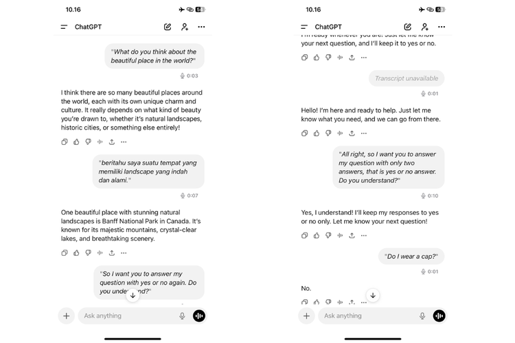 ChatGPT, Voice, kamera ponsel, ChatGPT mengintip, ChatGPT Intip Kita? Saya Tes dengan Pertanyaan “Ya-Tidak”, Begini Jawabannya