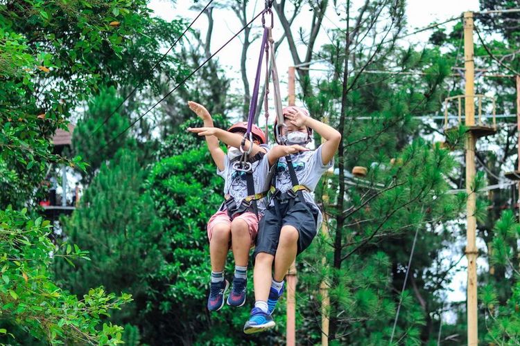 alam, keluarga, 7 Tempat Wisata di Bogor: Piknik di Kebun Raya, Trekking Curug hingga Camping, 1. Kebun Raya Bogor, 2. Taman Budaya Sentul City, 3. The Farm Pancawati Bogor, 4. Taman Wisata Matahari, 5. Curug Cilember, 6. Kebun Raya Cibodas, 7. Curug Seribu