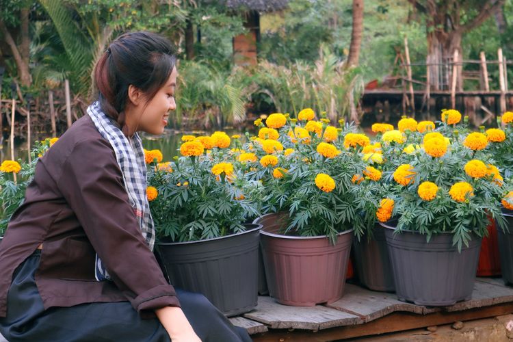 marigold, sumber protein, protein nabati, Bunga Ini Berpotensi Jadi Bahan Makanan Tinggi Protein, Ini Penelitiannya