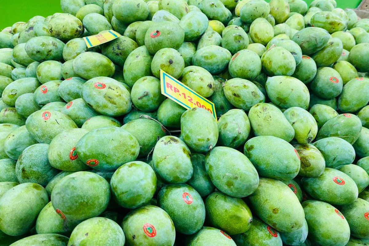 musim mangga, cara memilih mangga, mangga manalagi, mangga matang, mangga harum manis, mangga manis, penjual buah, Musim Mangga Tiba, Ini Cara Pilih yang Matang dan Manis ala Penjual Buah, Perhatikan bentuknya, Cek tekstur mangga, Amati aroma pada pangkal buah, Lihat warna buah