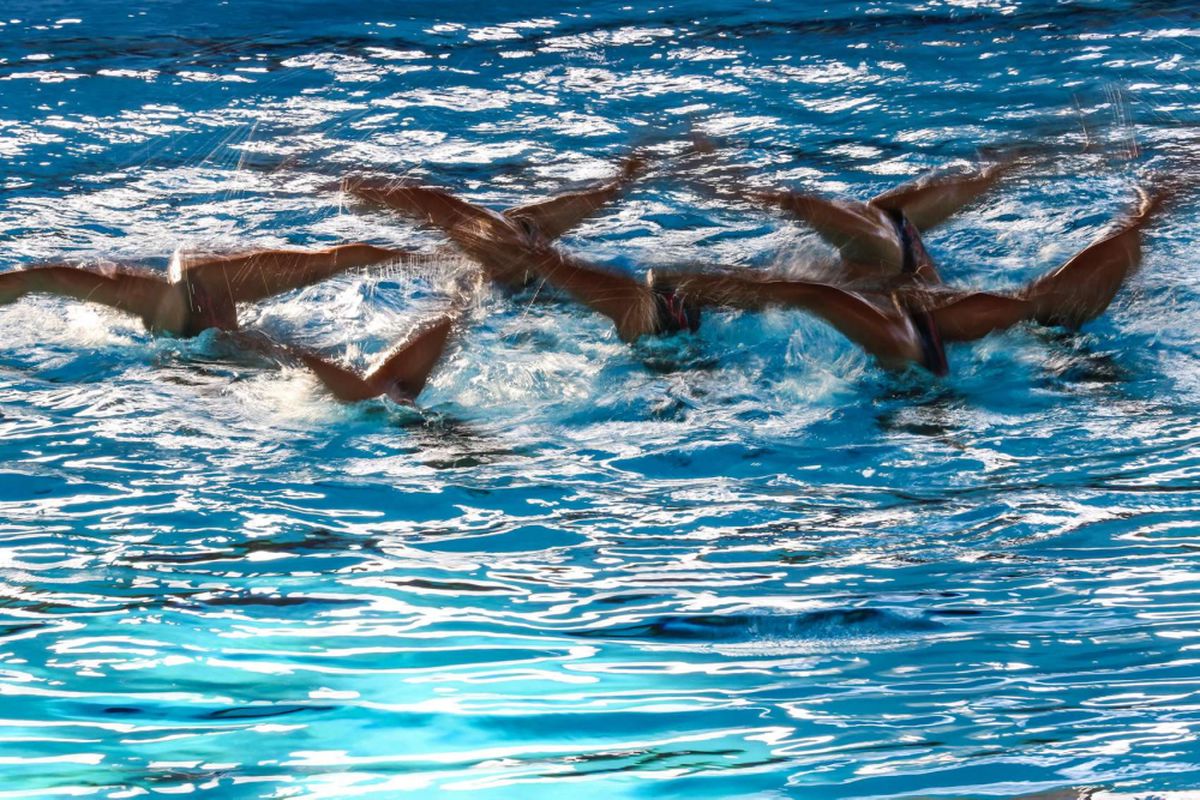 renang, Aquatic Stadium GBK Senayan, timnas renang Perancis, timnas renang perancis, Jelang World Championship Akuatik 2025 Singapura, Timnas Renang Perancis Berlatih di Aquatic Stadium GBK Senayan