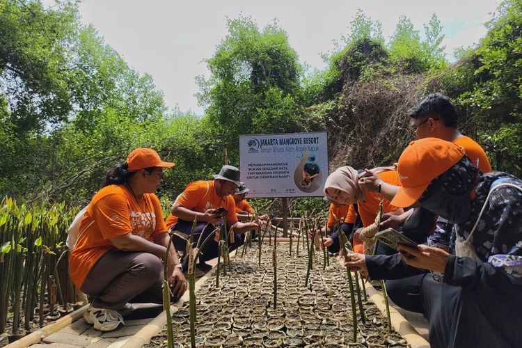 jakarta ecotourism festival 2025, lokasi taman wisata alam mangrove angke kapuk, tiket masuk taman wisata alam mangrove angke kapuk, tiket masuk taman wisata alam angke kapuk, jakarta ecotuorism 2025, Lokasi, Jam Buka, dan Harga Tiket Masuk TWA Angke Kapuk
