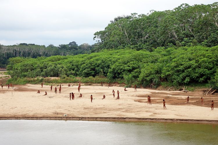 Amazon, Brasil, Google Maps, Hutan Amazon, gunung Rinjani, Gunung Rinjani, Juliana Marins, hutan Amazon, brasil, hutan amazon dimana, hutan amazon berada di negara, review google maps, 8 Fakta Hutan Amazon yang Dirating Bintang 1 oleh Netizen Indonesia, 1. 40 persen meliputi wilayah Brasil, 2. Reservois biologis paling kaya di dunia, 3. Rumah hewan liar dan pepohonan tinggi, 4. Terdampak ledakan populasi Brasil, 5. Pelestarian hutan melibatkan pihak internasional, 6. Laju penyusutan hutan menurun, 7. Sembilan negara di wilayah hutan Amazon, 8. Rumah masyarakat adat yang masih terisolir
