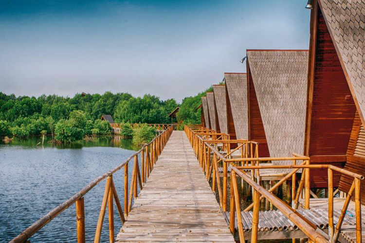 destinasi wisata, hutan mangrove, wisata mangrove, 5 Wisata Mangrove di Indonesia, Bisa Jalan di Jembatan Sambil Pesisir Laut, 1. Taman Wisata Alam Angke Kapuk , 2. Hutan Mangrove Karimunjawa    , 3. Hutan Mangrove Kulon Progo , 4. Hutan Mangrove Bedul, 5. Hutan Mangrove Tarakan