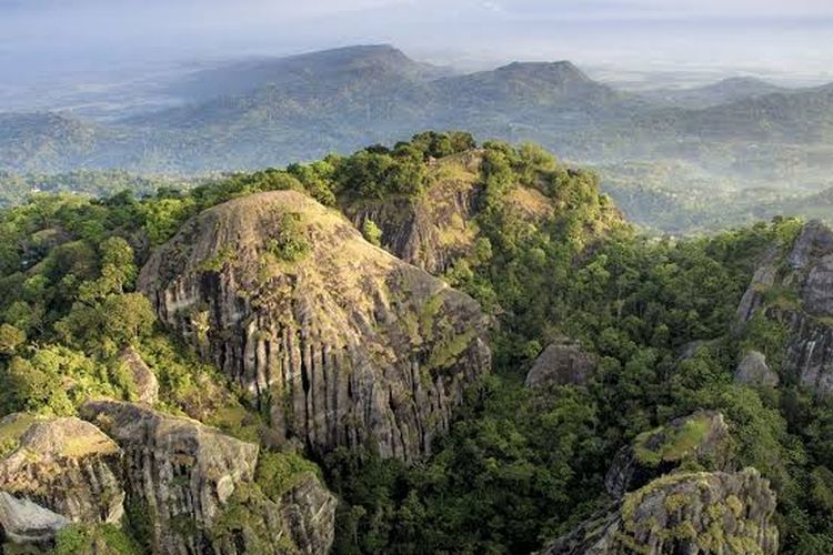 wisata kesehatan, wellness tourism, Wisata Kesehatan, wisata kesehatan di gunungkidul, Gunungkidul Bakal Punya Wisata Kesehatan, Hutan dan Jamu Jadi Andalan