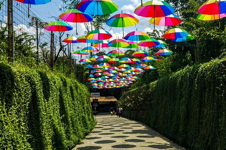 jember, Wisata Jember, Jakarta - Jember Bisa Naik Pesawat, Ini Wisata yang Bisa dikunjungi