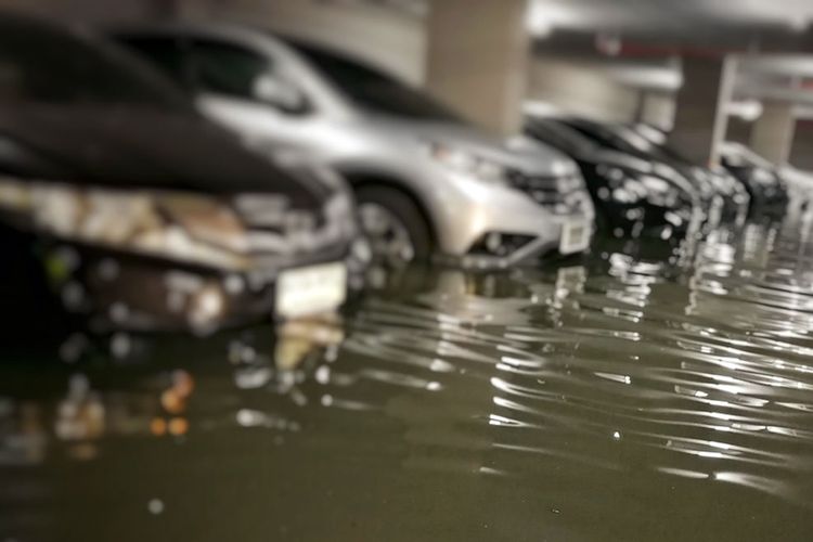 mobil bekas banjir, Mobil bekas banjir, Daniel Libianto, showroom mobil bekas, Showroom mobil bekas, konsumen Jakarta, Mengapa Mobil Bekas Banjir Masih Diminati?