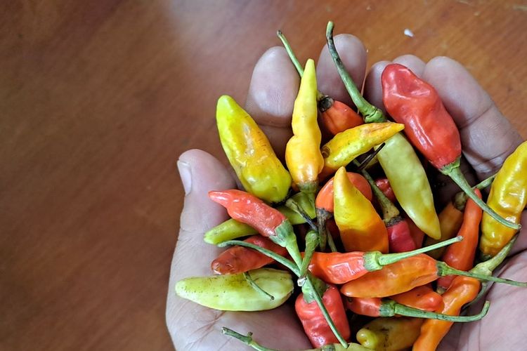 cara simpan cabai di kulkas, cara simpan cabai agar awet, cara simpan cabai di kulkas agar awet, cara simpan cabai tanpa kulkas, Ini Trik Menyimpan Cabai agar Awet Berbulan-Bulan di Rumah, 1. Jangan Cuci Cabai Sebelum Disimpan, 2. Simpan di Kulkas, 3. Gunakan Kantong Ziplock, 4. Masukkan ke Wadah Kedap Udara, 5. Bungkus dengan Aluminium Foil, 6. Simpan Bersama Bawang Putih, 7. Jauhkan dari Bahan Makanan Lain