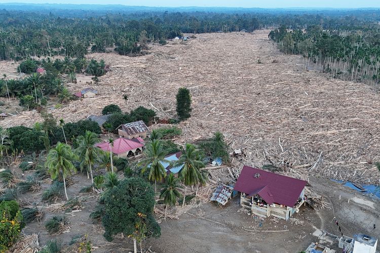 kayu gelondongan, banjir, hunian sementara, Masyarakat Boleh Manfaatkan Kayu Pascabanjir Sumatera, Ini Penjelasan Pemerintah, Gubernur Aceh: Kayu Boleh Dimanfaatkan Korban Banjir, JK Soroti Kayu di Sungai Picu Bencana, Izinkan Pemanfaatan Kayu, Kondisi Warga Belum Pulih, Kayu Banjir untuk Hunian Sementara, UGM Turun Tangan