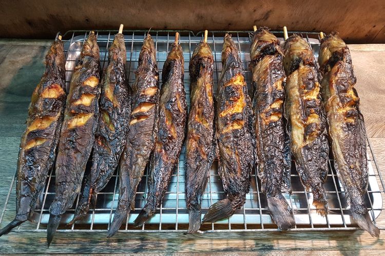 lele, manfaat lele, Lele yang Mudah Ditemukan di Indonesia Ini Ternyata Kaya Manfaat