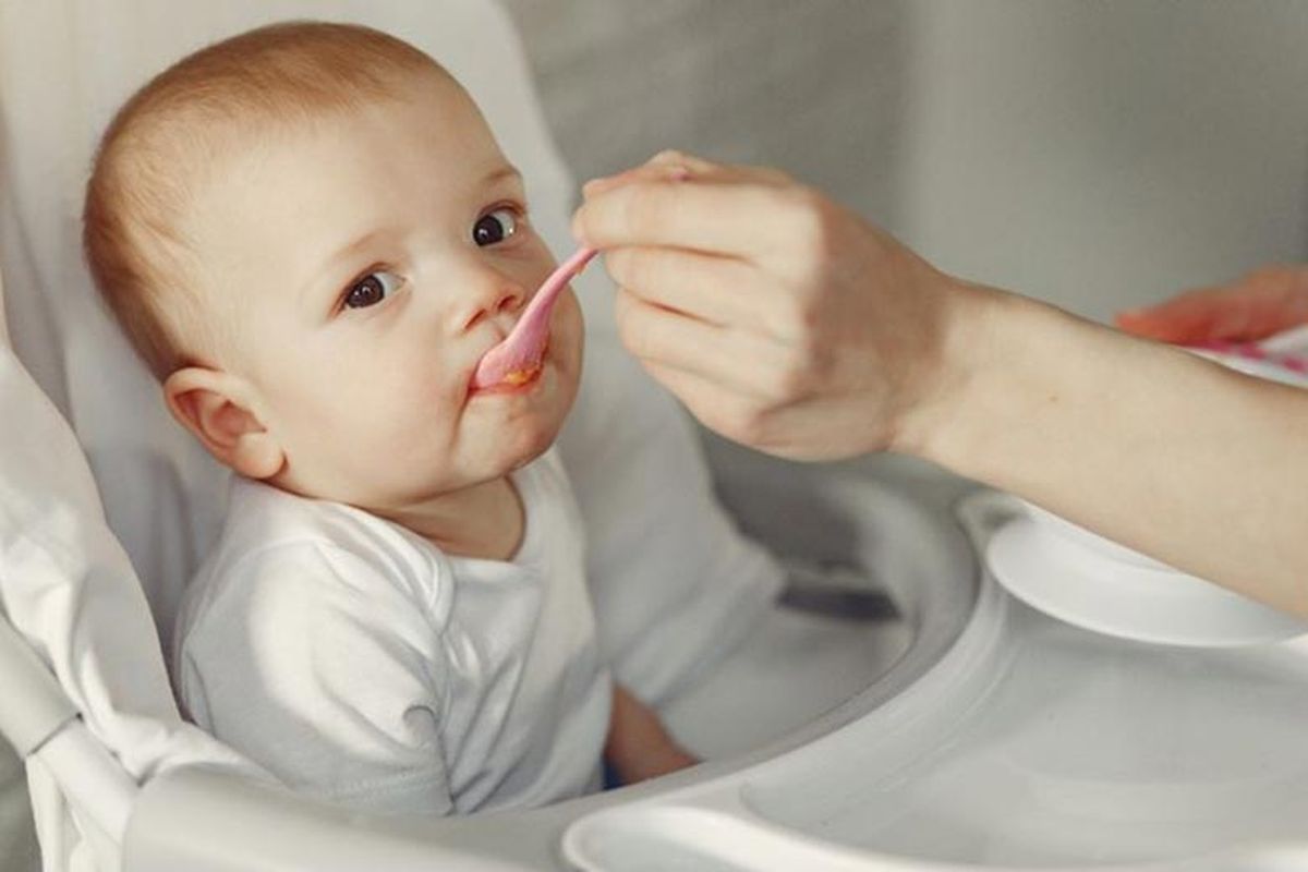 MPASI, MPASi, MPASI 6 bulan, mpasi 6 bulan pertama, berapa kali mpasi diberikan dalam sehari, MPASI 6 Bulan Pertama Menurut Buku Panduan Kemenkes, Bayi Makan Apa dan Berapa Kali Diberikan?