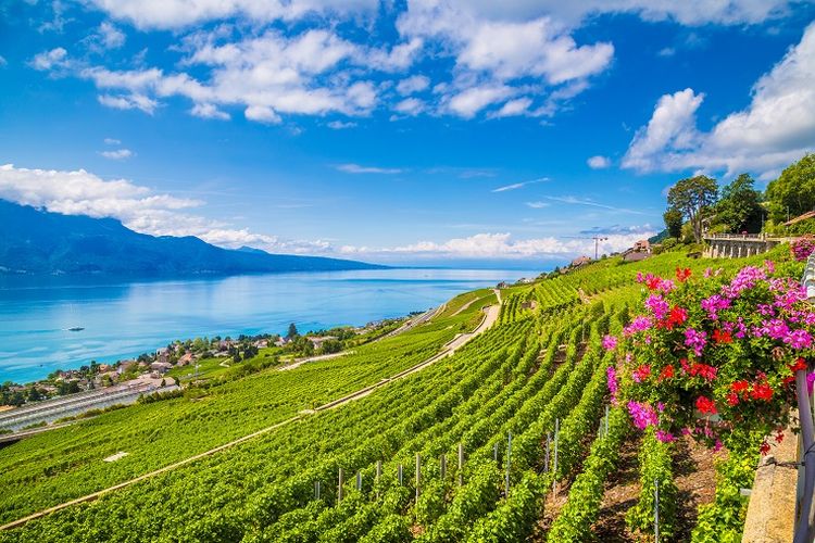 Wisata Swiss, destinasi wisata di swiss, destinasi wisata di swiss favorit orang indonesia, tipe wisatawan di swiss, tempat wisata ramah keluarga di swiss, wisata mewah di swiss, 4 Tipe Turis Asing di Swiss, dari Petualang hingga Penyuka Kemewahan, 1. Local explorer, 2. Pleasure seeker, 3. Bonding educator, 4. Active adventurer