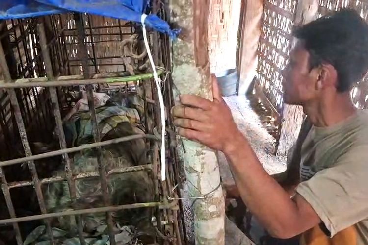 dikurung, Ponorogo, Kisah Hananto, Mantan Pekerja Migran Ponorogo yang Dikurung di Kerangkeng Besi Selama 12 Tahun, Bermula dari Malaysia, Jual Harta Benda hingga Mengamuk, Upaya Pengobatan yang Kandas, Terpaksa Dikurung demi Keselamatan
