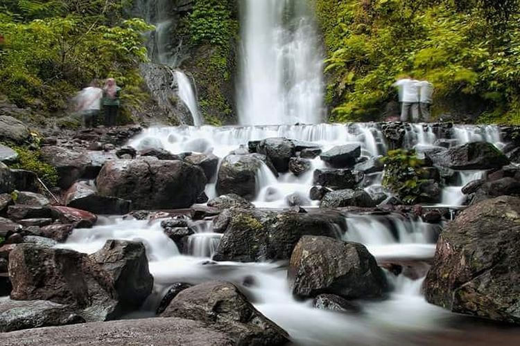 alam, keluarga, 7 Tempat Wisata di Bogor: Piknik di Kebun Raya, Trekking Curug hingga Camping, 1. Kebun Raya Bogor, 2. Taman Budaya Sentul City, 3. The Farm Pancawati Bogor, 4. Taman Wisata Matahari, 5. Curug Cilember, 6. Kebun Raya Cibodas, 7. Curug Seribu