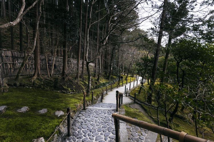Legenda Desa Inunaki, Desa Misterius di Jepang yang Hilang dari Peta