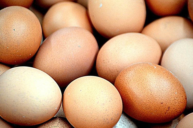 masa simpan telur, Telur Kusam, Telur kusam, ciri telur busuk, warna cangkang telur yang bagus, telur kusam, Cangkang Telur Kusam Belum Tentu Busuk, Ini Faktanya, Ramai Soal Telur Kusam di Media Sosial, Penjelasan Ahli BRIN Soal Cangkang Telur, Ciri Telur Lama: Bukan Warna, Tapi Isinya, Warna Cangkang Dipengaruhi Jenis Ayam, Tips Mengenali Telur Segar di Rumah