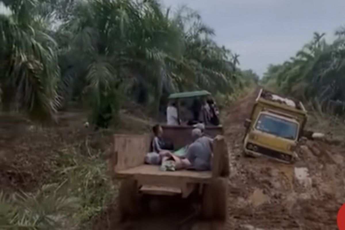 jalan rusak, Jambi, Jenazah Diangkut Traktor, Warga Angkut Jenazah dengan Traktor di Jambi, Wabup: Itu Jalan Alternatif, Bukan Jalur Utama