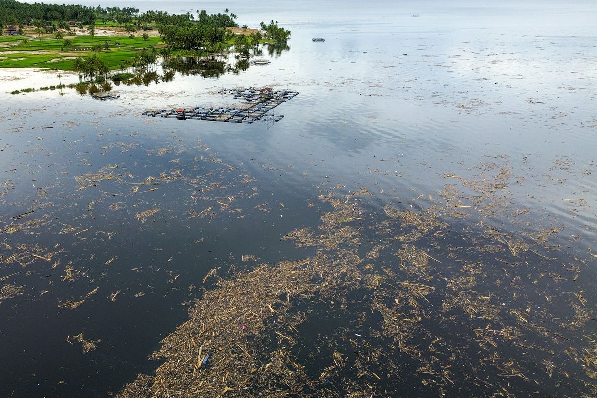 Danau Singkarak, banjir sumatera, Danau Singkarak Tercemar Sampah Kayu, Ekosistem dan Wisata Terancam