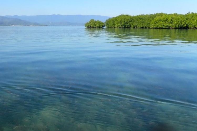 Wisata NTB, wisata sumbawa, Pulau Panjang Sumbawa, Cara Menuju Pulau Panjang Sumbawa, Start dari Lombok