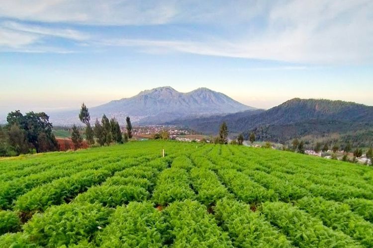 kemarau, musim kemarau, musim kemarau 2025, wisata musim kemarau, tempat wisata musim kemarau, 6 Pilihan Wisata yang Pas Saat Musim Kemarau, Tetap Adem dan Nyaman, 1. Kawasan Dataran Tinggi, 2. Tempat Wisata Indoor dengan AC, 3. Taman Kota yang Rindang, 4. Kolam Renang dan Pemandian Alami, 5. Air Terjun di Pegunungan, 6. Jalur Pendakian Gunung