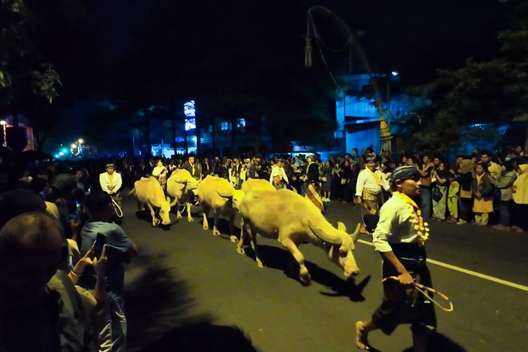 malam 1 Suro, Sultan Agung, Malam 1 Suro, Keraton Yogyakarta, Kirab kebo bule, Keraton Surakarta, kirab kebo bule, Budaya Jawa, tradisi 1 muharram, Sejarah Malam 1 Suro: Alasan Sultan Agung Mengganti Kalender Jawa