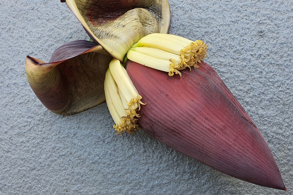 resep keripik jantung pisang, Resep keripik jantung pisang, resep jantung pisang, resep jantung pisang manis, cara membuat keripik jantung pisang, ide olahan jantung pisang, Resep Keripik Jantung Pisang, Bisa jadi Camilan yang Tahan Lama