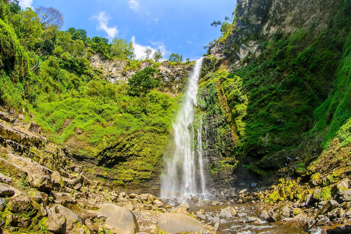 Malang Health Tourism, wisata kesehatan, proyek Mariposa, Proyek Mariposa, Kerjasama Jepang, Malang Health Tourism Jajaki Kerja Sama dengan Jepang, Tawarkan Wisata Kesehatan Mariposa