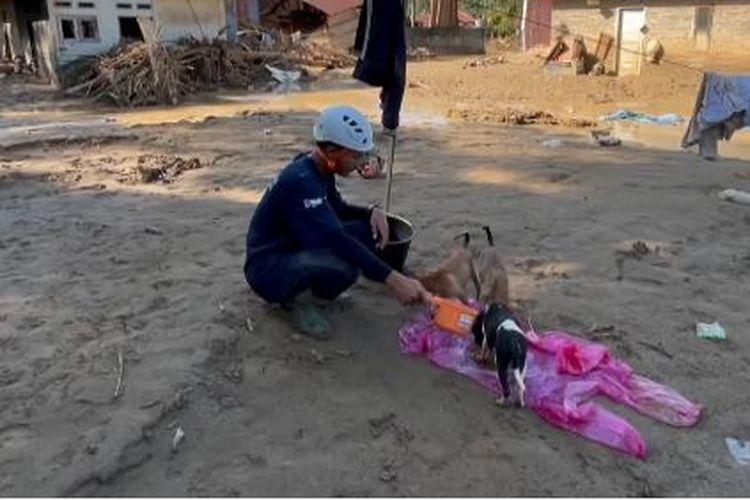 anabul, Tapanuli Selatan, animal rescuer, Anabul, Banjir Tapanuli Selatan, banjir sumatera, bencana banjir dan longsor sumatera, Relawan Selamatkan Anabul dan Ternak Terdampak Bencana di Tapsel, Tembus Lokasi Terisolasi