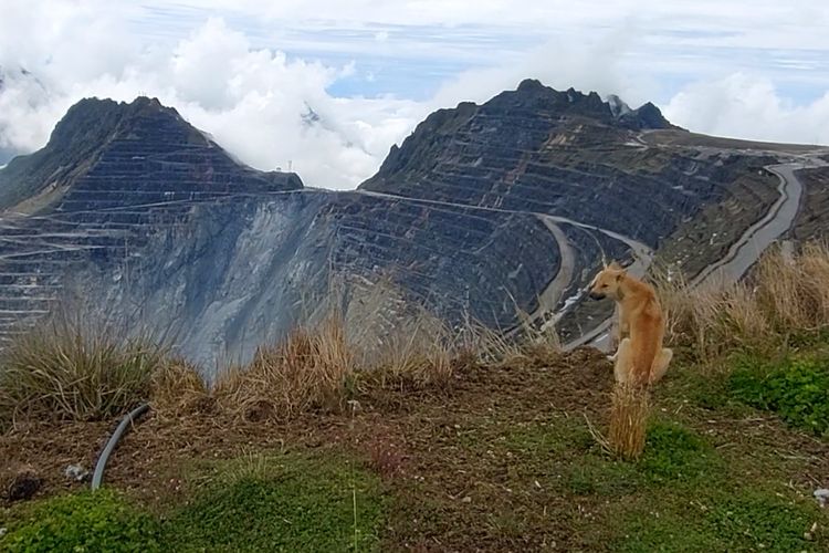 Emas, Irwandy Arif, tambang emas, Tambang Cikotok, PT Aneka Tambang, Tambang Tujuh Bukit, Sejarah Panjang Tambang Emas di Indonesia, dari Abad ke-4 hingga Harta Karun Onto, 1. Tambang Cikotok, Banten: Pelopor Antam, 2. Tambang Pongkor, Jawa Barat: Tambang Bawah Tanah Raksasa, 3. Tambang Batu Hijau, NTB: Dari Newmont ke Amman Mineral, 4. Grasberg, Papua: Tambang Emas Terbesar di Dunia, 5. Tambang Martabe, Sumatra Utara, 6. Tambang Tujuh Bukit, Banyuwangi