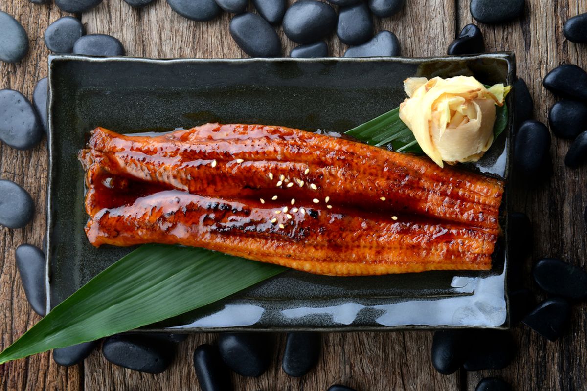 apa itu unagi, apa itu ikan unagi, cara mengolah unagi, olahan unagi khas jepang, apa bedanya belut dan unagi, Apa Itu Unagi? Ikan Sidat yang Bikin Kaget Peserta MasterChef Indonesia 12, Apa itu unagi?, Cara memasak unagi, Cara menyimpan unagi, Jenis olahan unagi paling populer