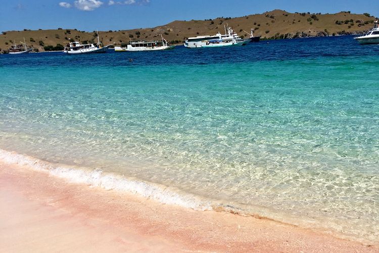 Pink Beach di Komodo, pink beach ada dimana, pink beach, Pantai terindah dunia, Pantai terindah dunia 2025, artikel wisata, Pink Beach di Pulau Komodo Jadi Pantai Terindah di Dunia 2025
