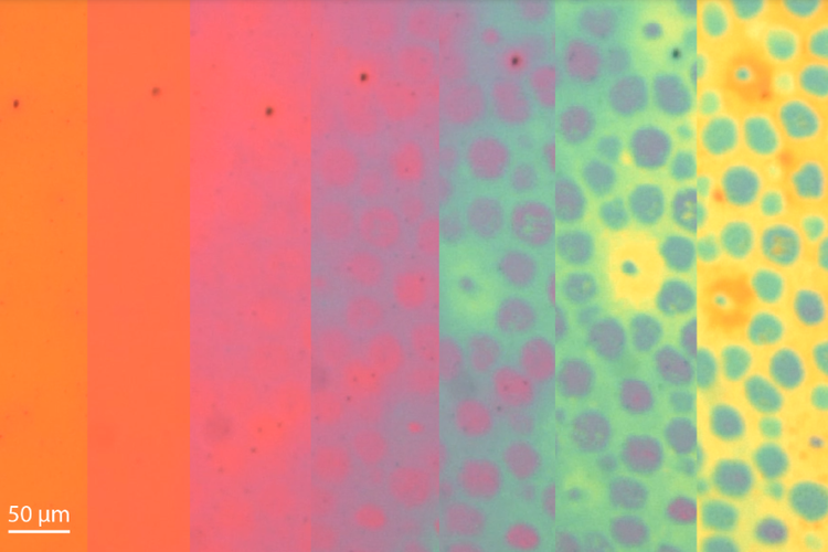 kulit, gurita, manusia, berubah warna, Kulit Sintesis Ini Bisa Berkamuflase Mirip Gurita, Kok Bisa?