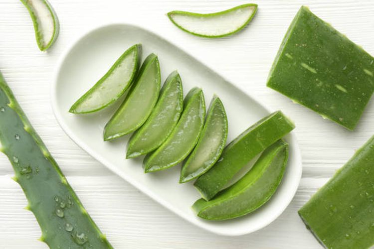 lidah buaya, manfaat lidah buaya, manfaat lidah buaya untuk rambut, lidah buaya untuk rambut, manfaat lidah buaya untuk kesehatan, usia 50 tahun ke atas, manfaat lidah buaya untuk kulit, fungsi lidah buaya, apa manfaat lidah buaya, 5 Manfaat Lidah Buaya untuk Kulit Usia 50 Tahun ke Atas, Samarkan Flek Hitam, 1. Melembapkan kulit tanpa rasa berminyak, 2. Mengurangi garis halus dan kerutan, 3. Membantu mengatasi flek hitam dan kerusakan akibat sinar matahari, 4. Menenangkan kulit setelah mencukur bulu, 5. Menjaga kesehatan kulit kepala dan rambut