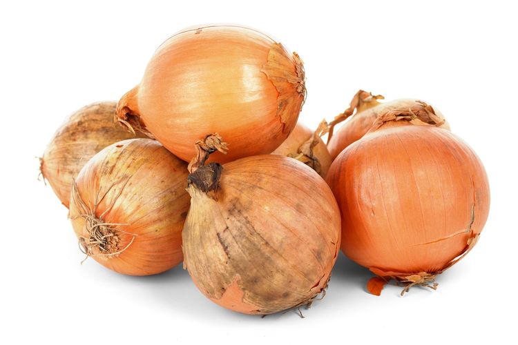 Bawang bombai, bawang bombai, bawang bombay, manfaat bawang bombai, Manfaat Bawang Bombai, Enak dan Kaya Nutrisi, 1. Menjaga Kesehatan jantung, 2. Sumber antioksidan, 3. Potensi antikanker, 4. Mengontrol gula darah, 5. Menjaga kepadatan tulang, 6. Sifat antibakteri, 7. Menjaga kesehatan pencernaan