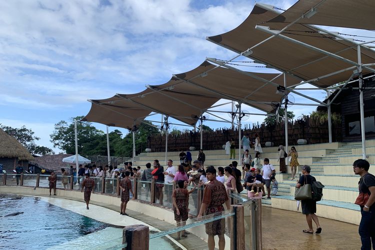 Marine Safari Bali, cara nonton lumba lumba di Marine Safari Bali, jumlah lumba lumba di Marine Safari Bali, jadwal atraksi lumba lumba di Marine Safari Bali, Lumba-lumba Marine Safari Bali, Berapa Umurnya?