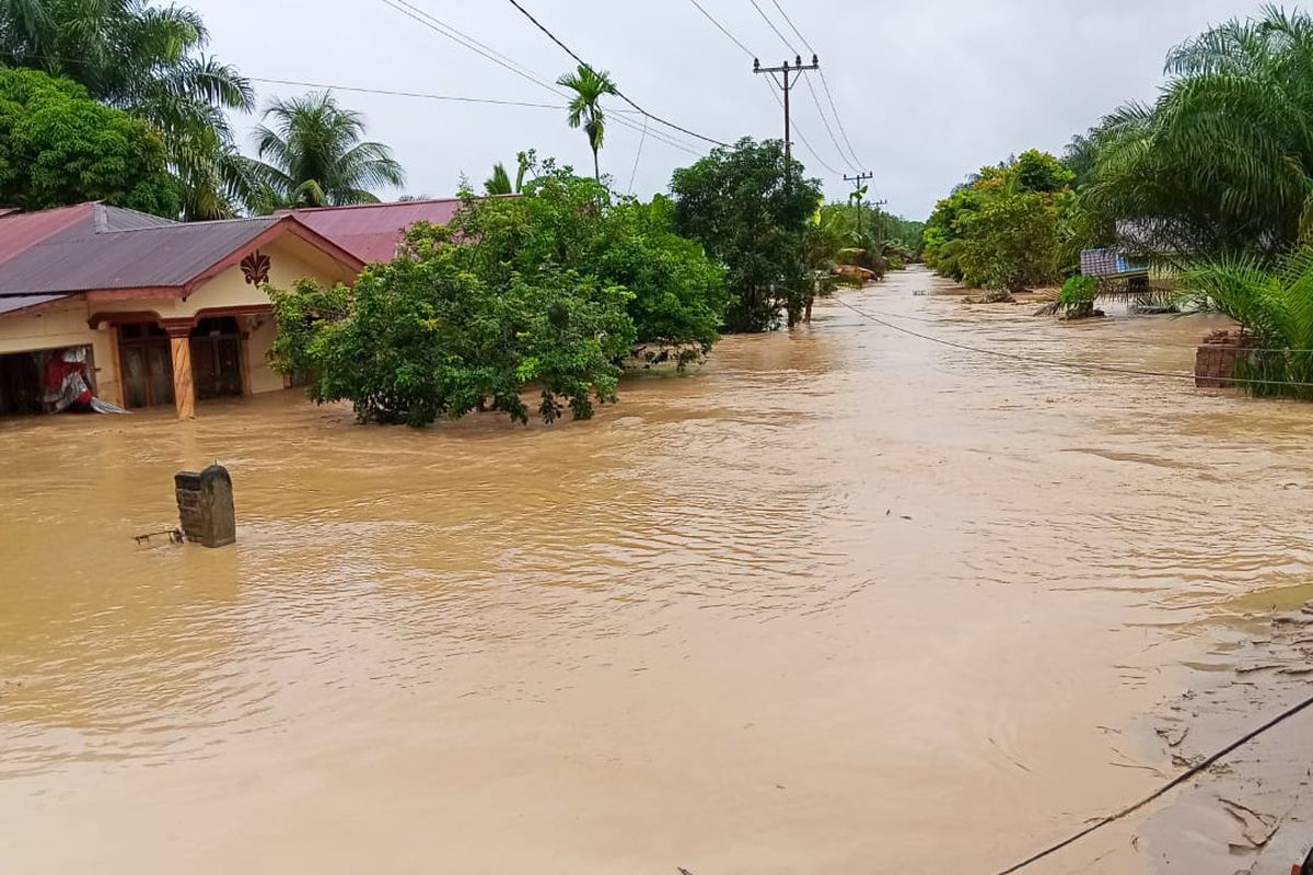 banjir bandang, longsor Tapanuli Selatan, Banjir Tapanuli, Banjir Tapanuli Selatan, banjir bandang tapanuli selatan, Longsor Tapanuli Selatan, Kisah Erwin Terseret Banjir Bandang 500 Meter, Selamat Berkat Memeluk Batang Kayu