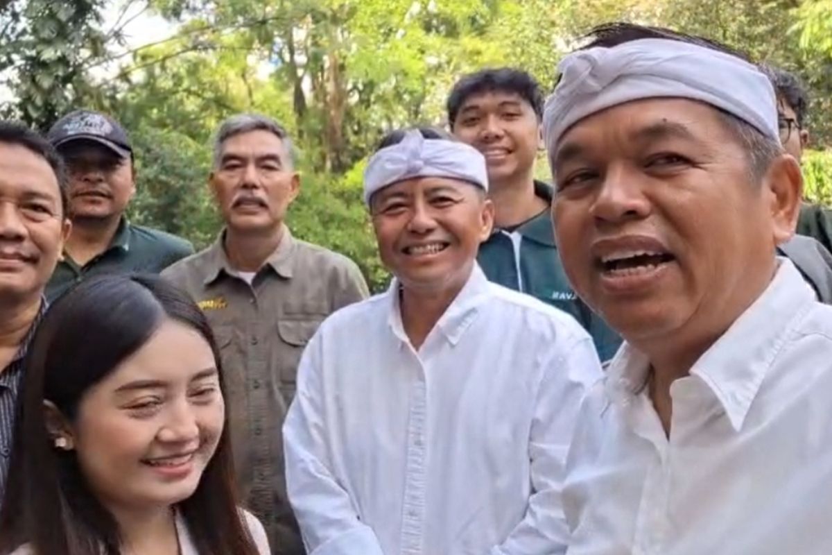 Bandung Zoo, Setelah Sempat Bermasalah, Bandung Zoo Kini Masuki Tahap Akhir Pembenahan dan Siap Dibuka Kembali, Apa saja masalah yang sudah diselesaikan?, Bagaimana kondisi satwa di Bandung Zoo?, Apa langkah selanjutnya untuk pengelolaan Bandung Zoo?, Kapan Bandung Zoo akan dibuka kembali?