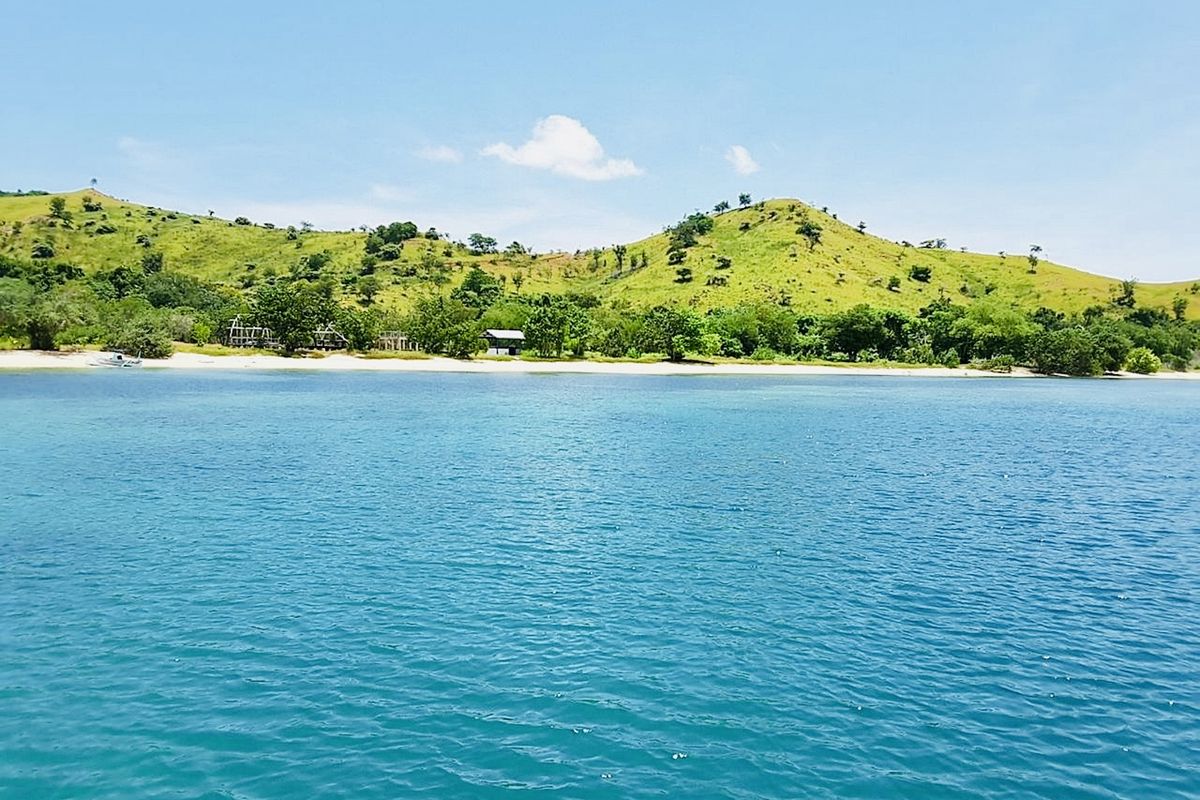 Komodo, Wisata ke TN Komodo Ditutup Hampir Sebulan, Masalah Bermunculan