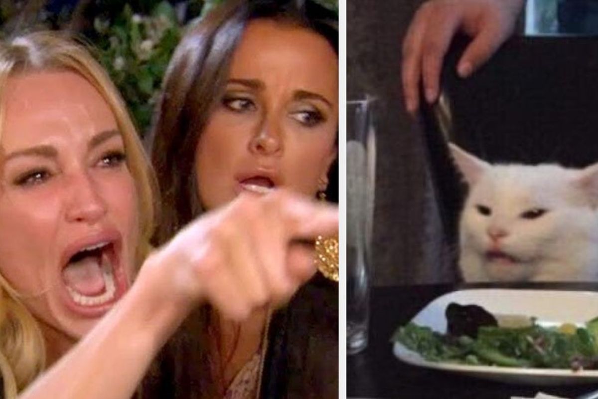 Meme, meme, meme viral, meme lucu, Cerita Sedih di Balik Meme Lucu Wanita dan Kucing