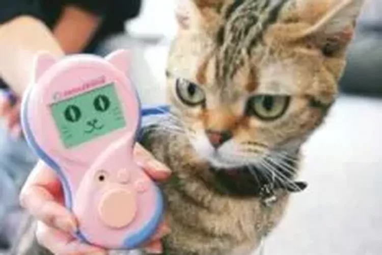 teknologi, Project Ara, Google, Razer, piring terbang, helm, LiFi, Meski Fituristik, 5 Produk Canggih Ini Gagal dan Hilang dari Pasaran, 1. Masker Bluetooth, 2. Alat penerjemah kucing, 3. Piring terbang, 4. Helm pintar
