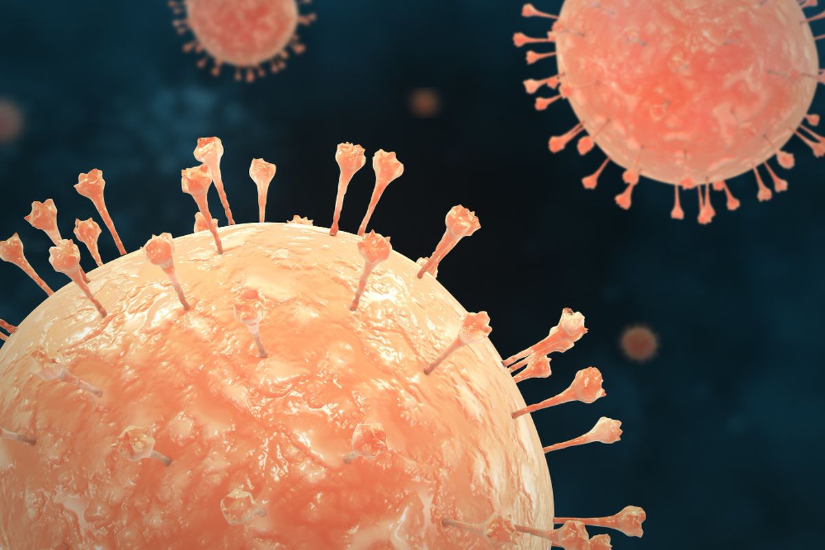 virus Nipah, Kemenkes, Barantin, Virus Nipah Mewabah, Kemenkes dan Barantin Perketat Kewaspadaan Nasional