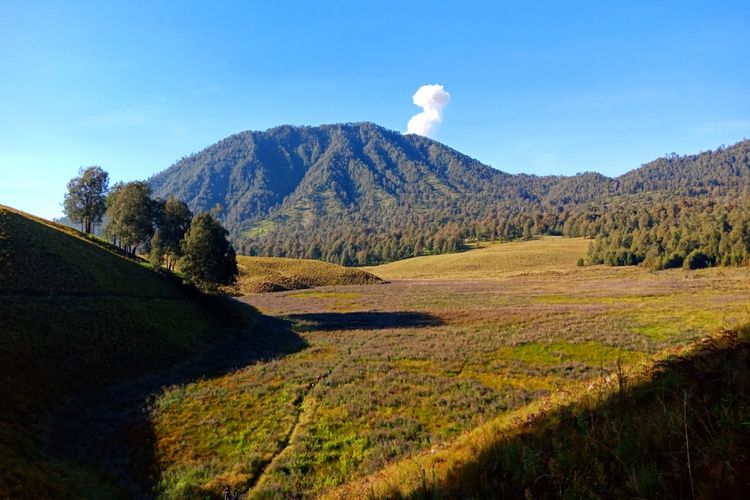 Semeru, Pendakian Gunung Semeru, Syarat mendaki Semeru, pendakian gunung semeru, Syarat mendaki Semeru tanpa Pemandu, Mendaki Gunung Semeru Kini Bisa Tanpa Pemandu, Ini Syaratnya
