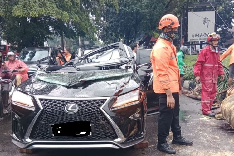 Vietnam, STNK, toyota sienta, pajak kendaraan, mazda cx-5, QR code, Populer Otomotif, Lexus RX 300, artikel terpopuler, motor bensin, biaya kepemilikan, Curhat Pemilik Mazda CX-5, Lexus RX 300 Ketiban Pohon