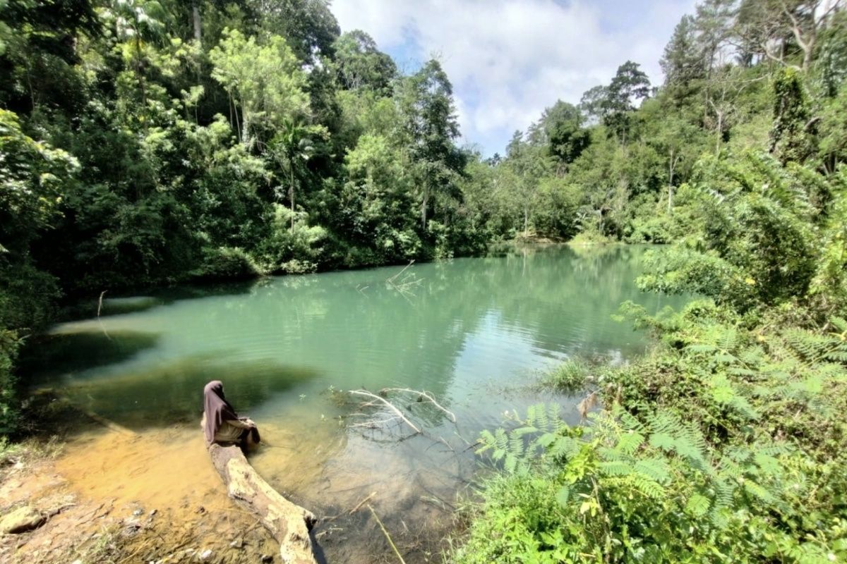 Danau, Kepahiang, Bengkulu, Wisata Baru di Bengkulu, Ada Danau Hijau di Tengah Hutan