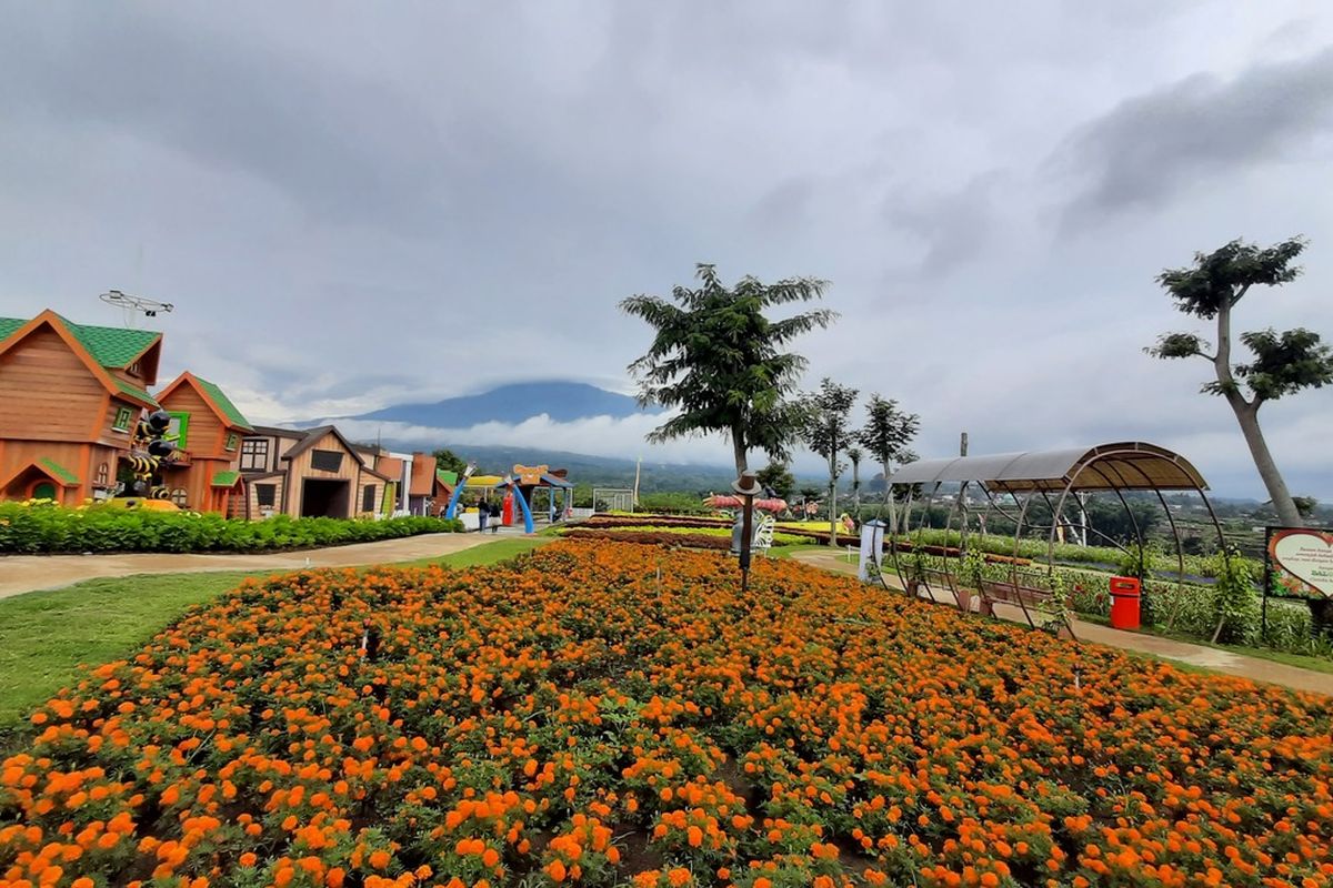 Rute Menuju Batu Love Garden, rute menuju batu love garden, jalan ke batu love garden, wisata batu love garden malang, lokasi batu love garden, Rute Menuju Batu Love Garden