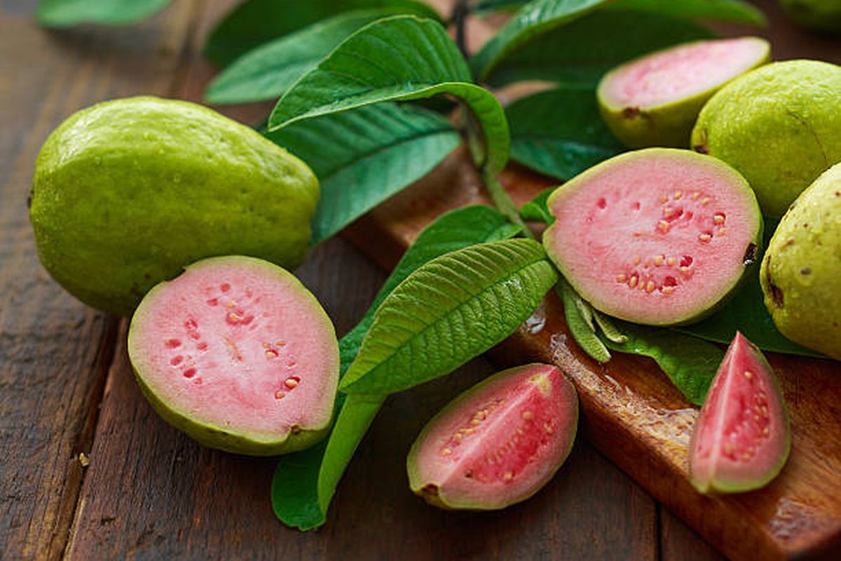 jambu biji, Jambu biji baik untuk DBD, jambu biji bisa menaikkan trombosit, Jus Jambu Biji Bantu Pemulihan DBD, Tapi Bukan Obat Utama