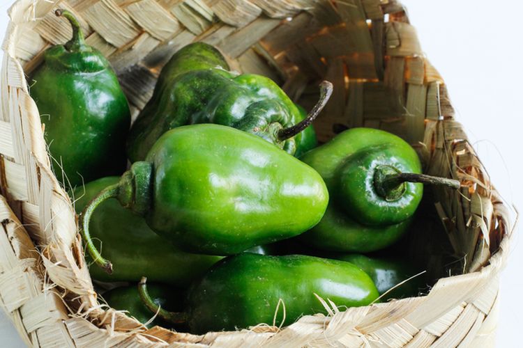 resep cabe gendot, resep cabe gendot teh shanty, resep cabe gendot viral, masakan pedas praktis, Resep Cabe Gendot, Praktis Cuma Ditumis Bumbu Iris