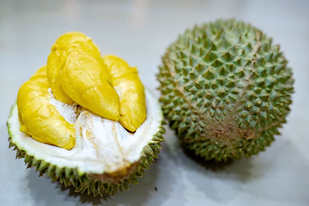 Malaysia, durian, Durian Musang King, Malaysia Sebut Durian Musang King Resmi Milik Mereka, Apa Alasannya?