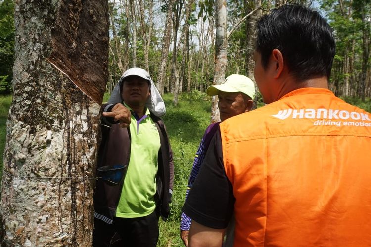 Hankook Tire, karet, bahan baku, Cara Produsen Ban Ini Jaga Kualitas Karet untuk Bahan Baku